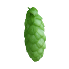 Admiral Hops - green hop cone on transparent background
