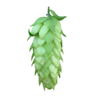 Amarillo hops - green hop cone on a transparent background