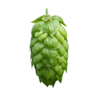 Aurora hops - a green hop cone on a transparent background