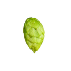 Azacca®