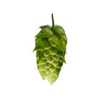 Brewers Gold