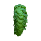 Cascade UK