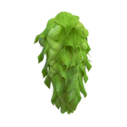 Citra®