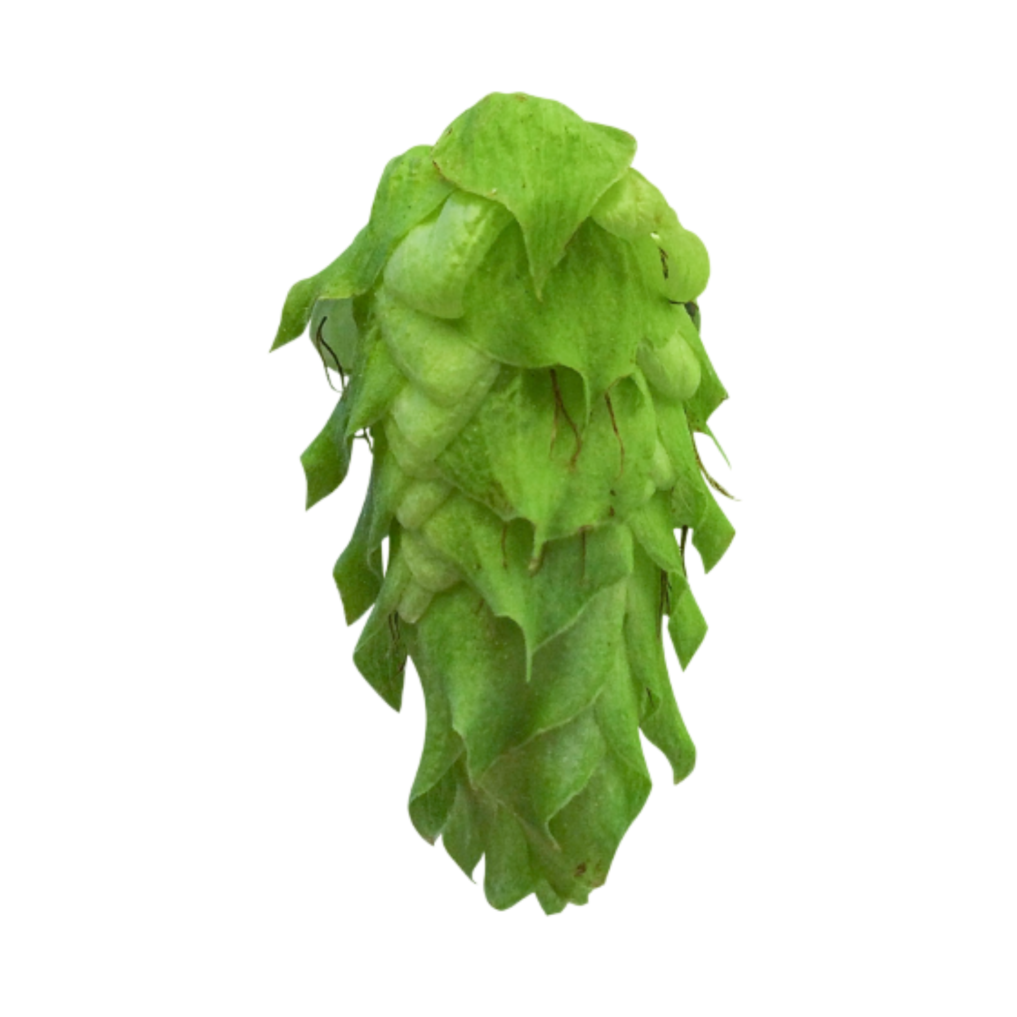Citra®