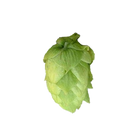 Cluster
