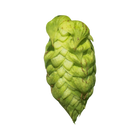 Columbus Hops