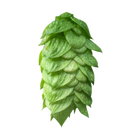Comet Hops
