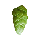 Ekuanot hops