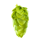 El Dorado hops