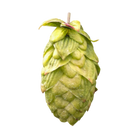 Endeavour hops