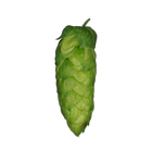 Hallertau Blanc