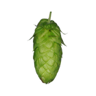 Herkules hops