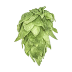 Krush hops