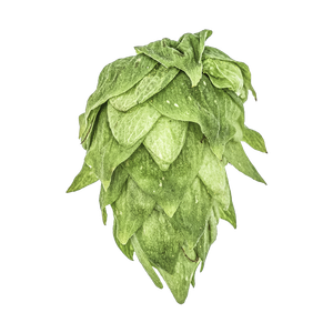 Krush hops