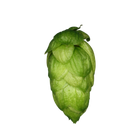 Organic Mandarina Bavaria