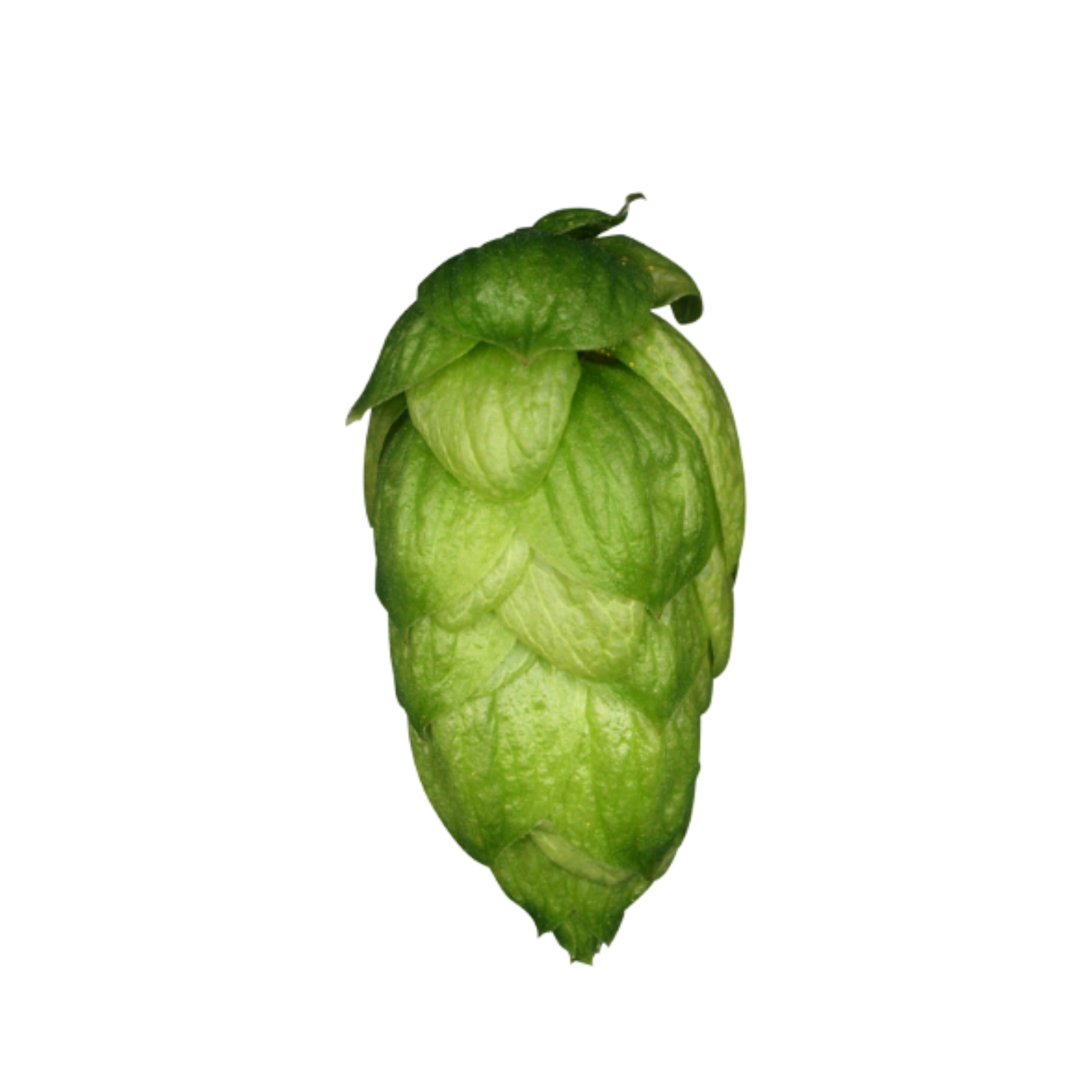 Organic Mandarina Bavaria