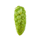 Mosaic hops