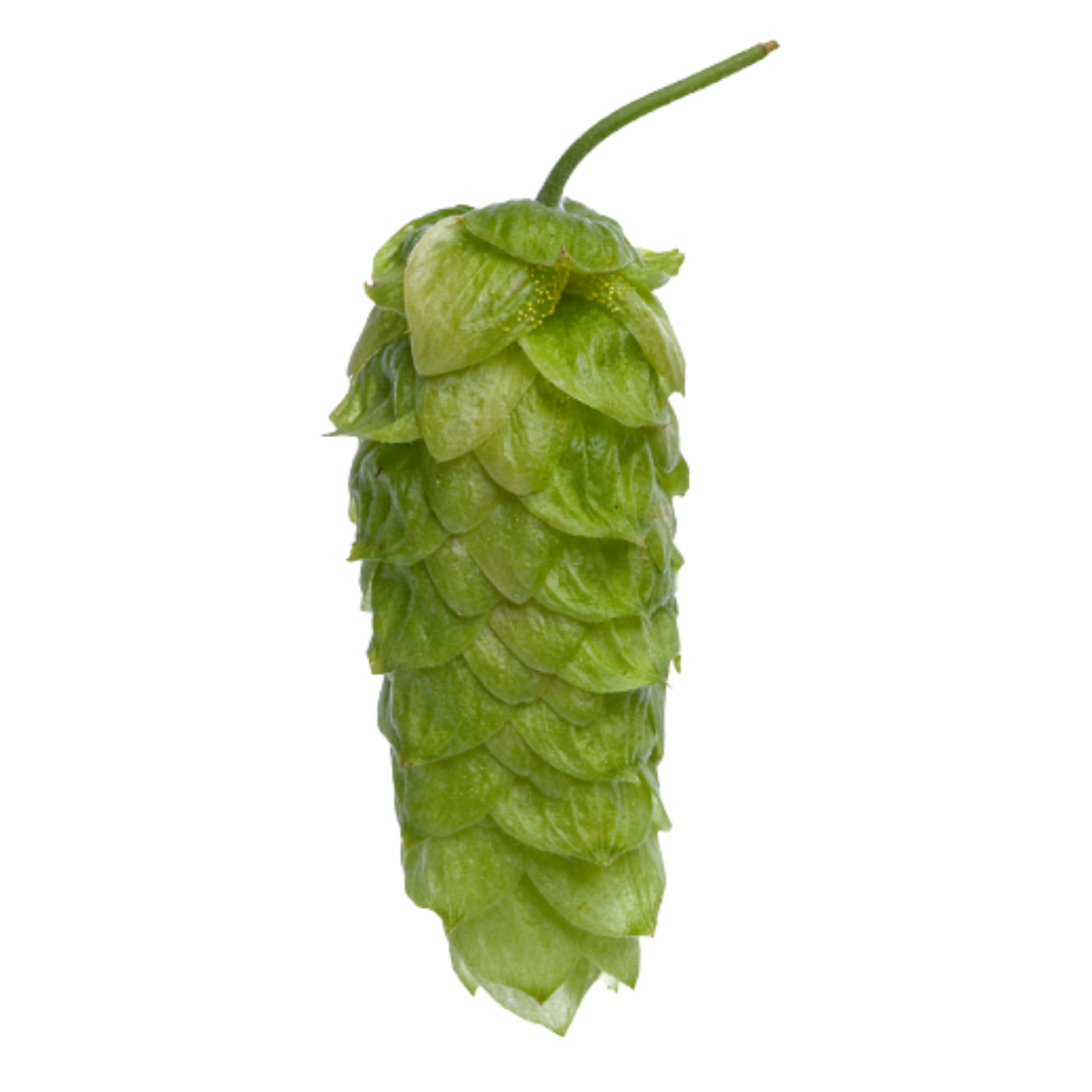 NZ Pacific Jade™