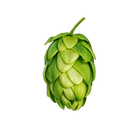 Nugget hops