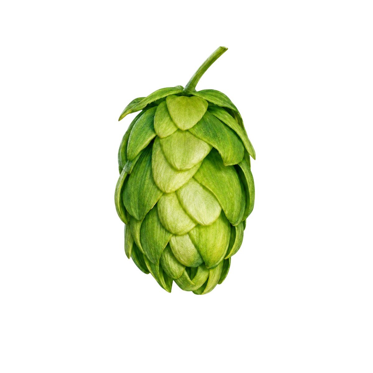 Nugget hops