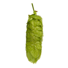 Pacific Gem™