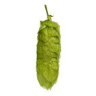 Organic Pacific Gem™