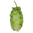 Pacifica hops