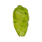 Rakau hops
