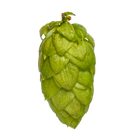 Riwaka™