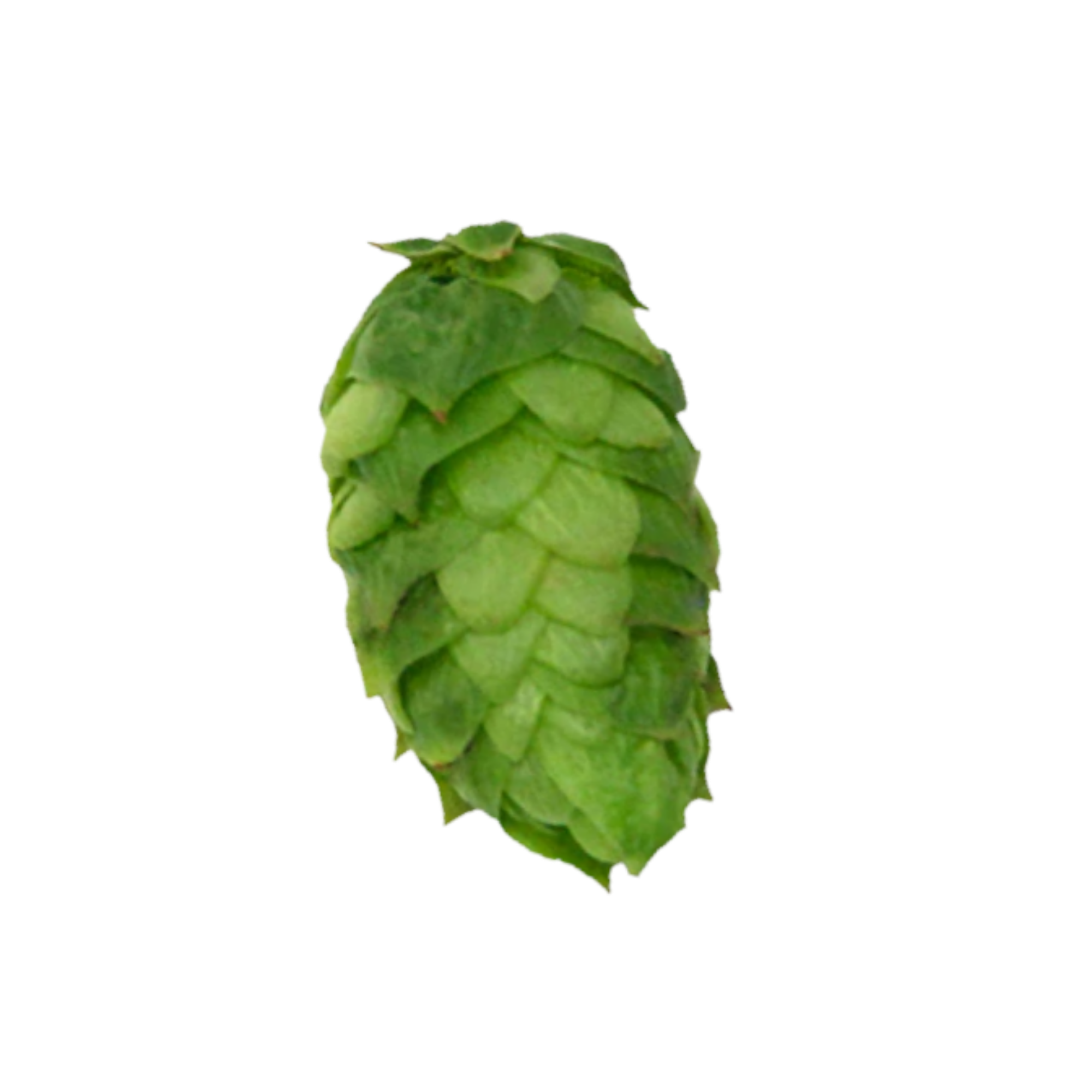 Simcoe®