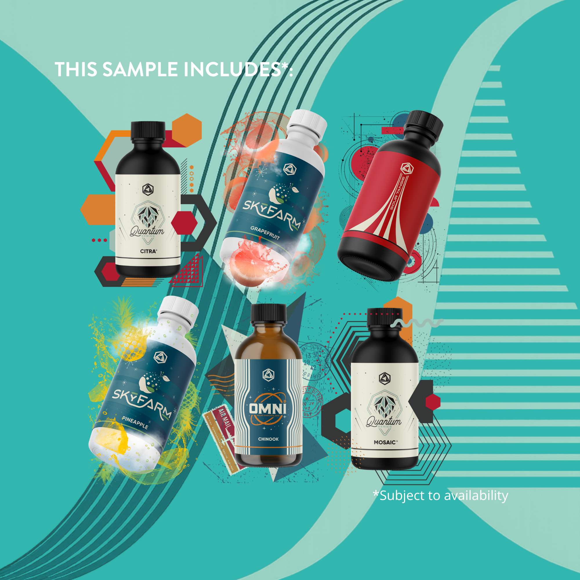 The Six Pack - Sample Kit