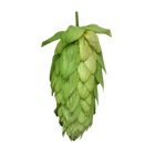 Sorachi Ace