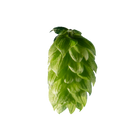 Strisselspalt