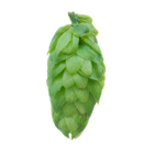Styrian Dragon