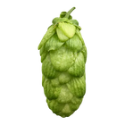 Organic Pulawski