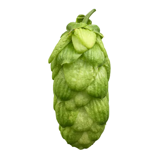 Organic Pulawski